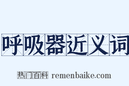 呼吸器近义词是什么意思的图片